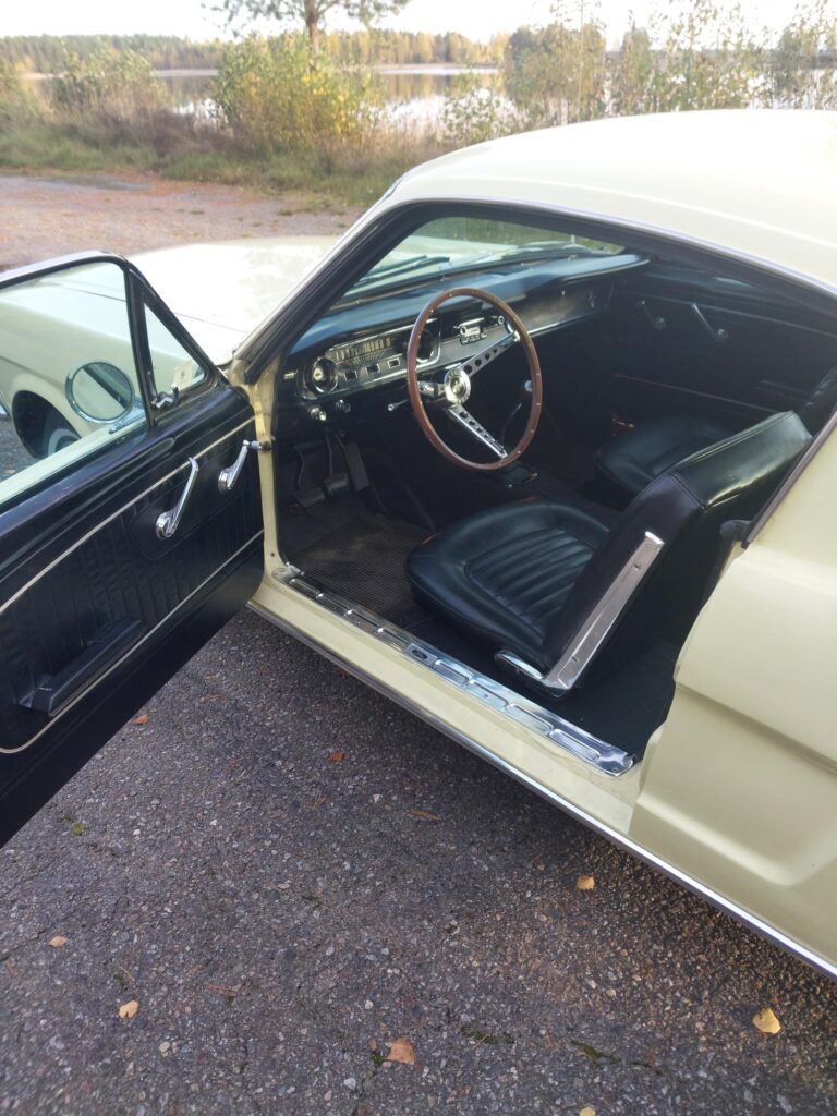 Mustang Fastback 1965