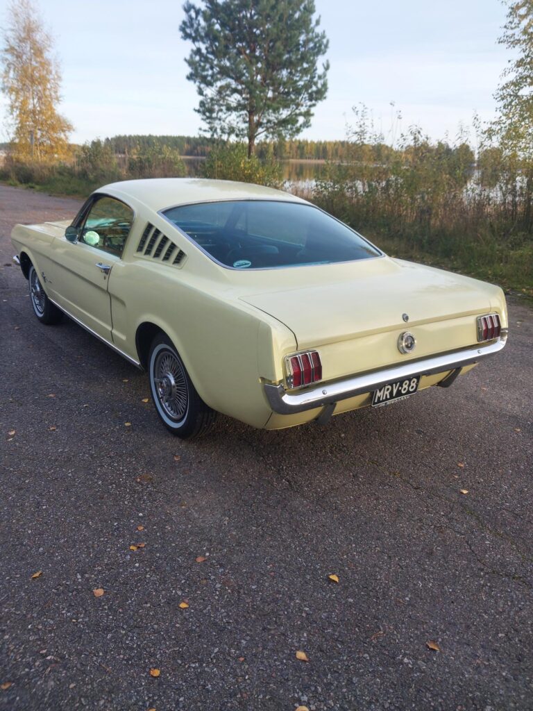 Mustang Fastback 1965