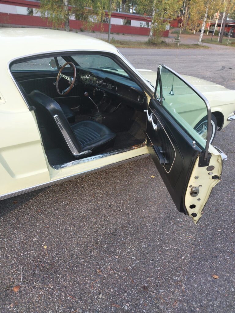 Mustang Fastback 1965
