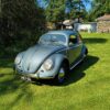 Volkswagen Beetle Oval 1955